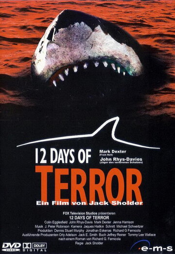 Cмотреть 12 дней страха (2004) онлайн в Хдрезка качестве 720p