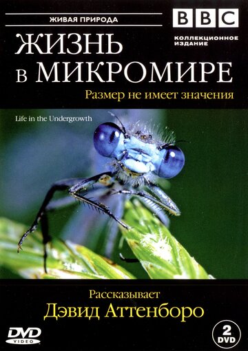 Смотреть BBC: Жизнь в микромире (2005) онлайн в Хдрезка качестве 720p