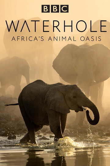 Смотреть Waterhole: Africa's Animal Oasis (2020) онлайн в Хдрезка качестве 720p