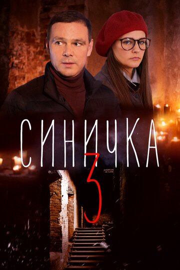 Смотреть Синичка 3 (2020) онлайн в Хдрезка качестве 720p